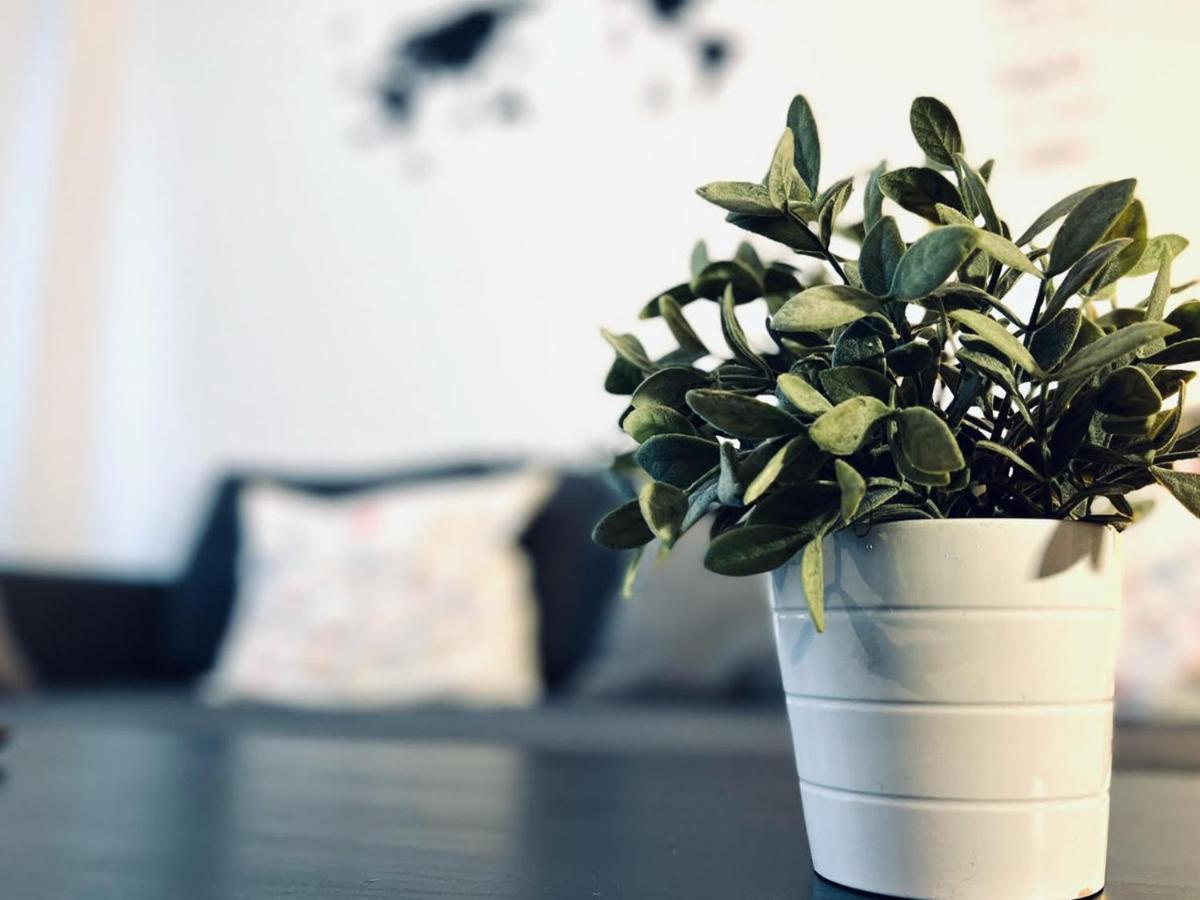 Apartamento Pintor Palomino 科爾多瓦 外观 照片
